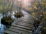 Dogtown boardwalk